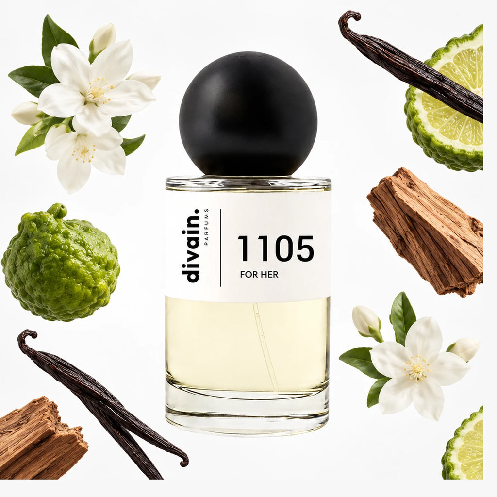 divain-1105 notas