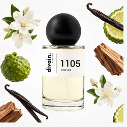 divain-1105 notas