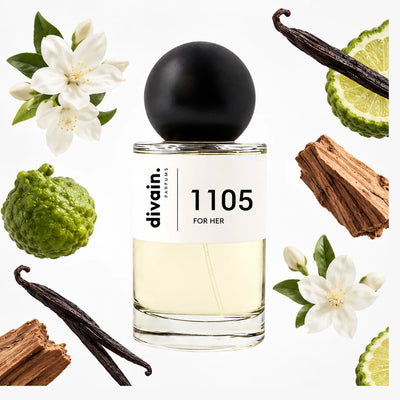 divain-1105 notas