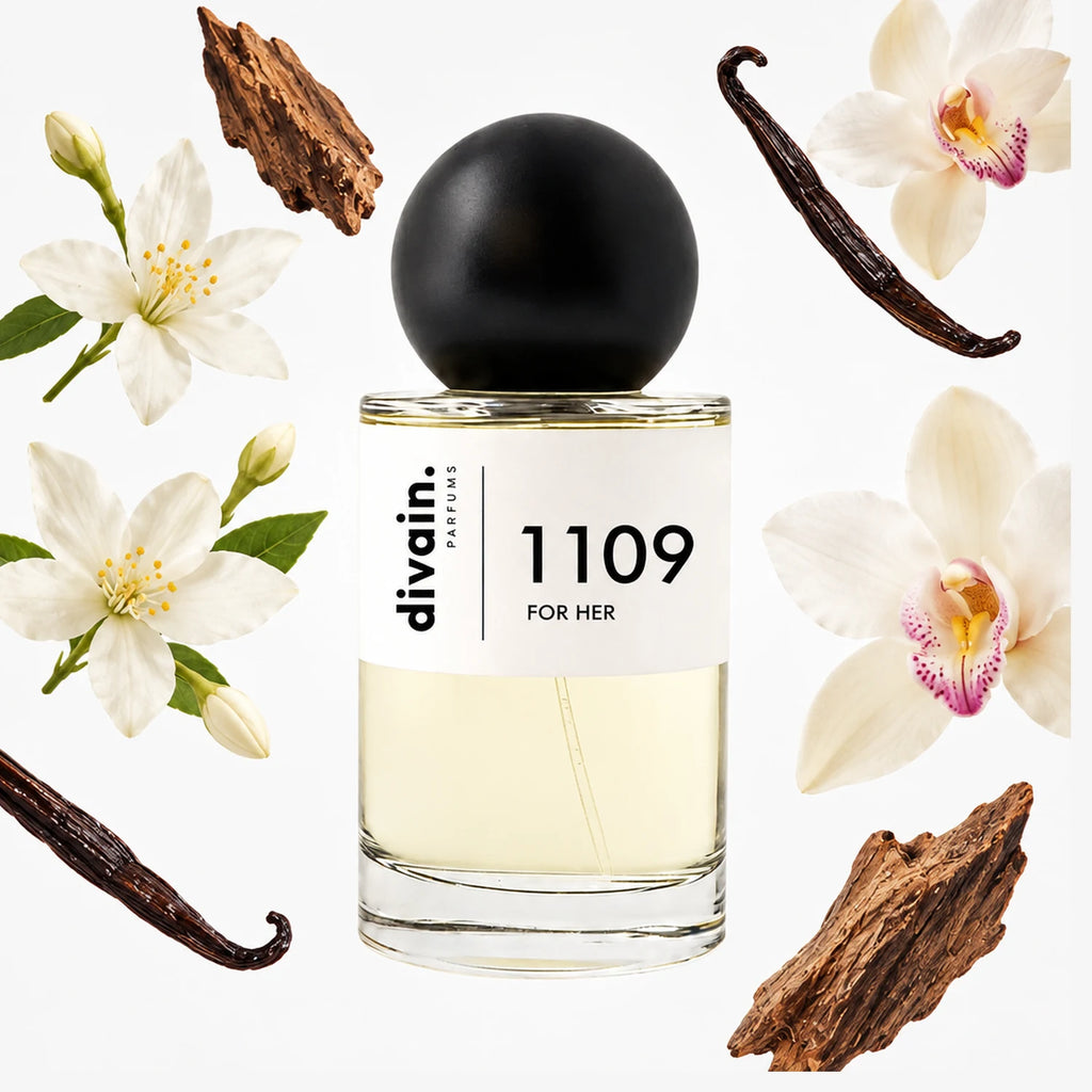 divain-1109 notas