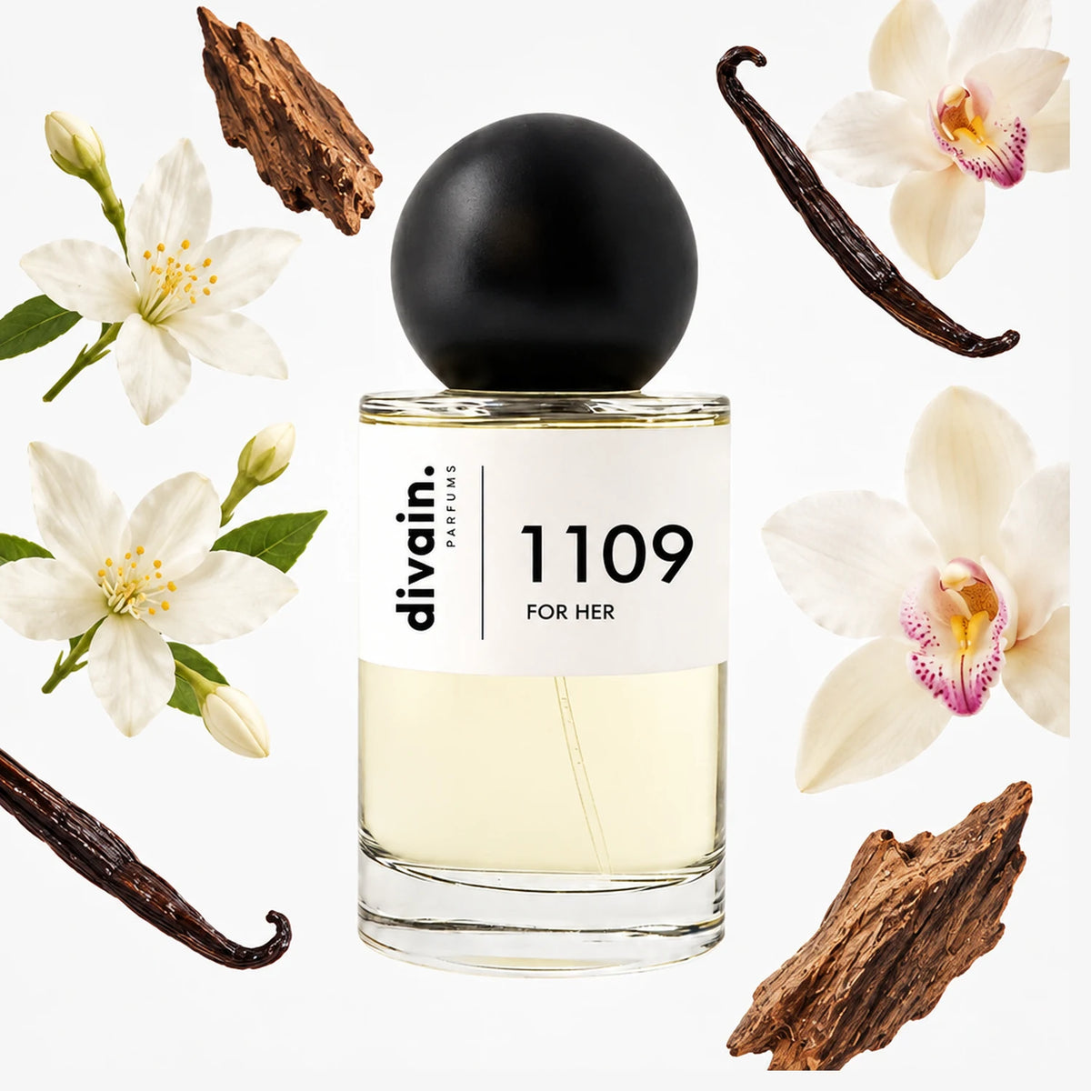 divain-1109 notas