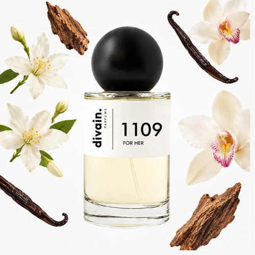 divain-1109 notas
