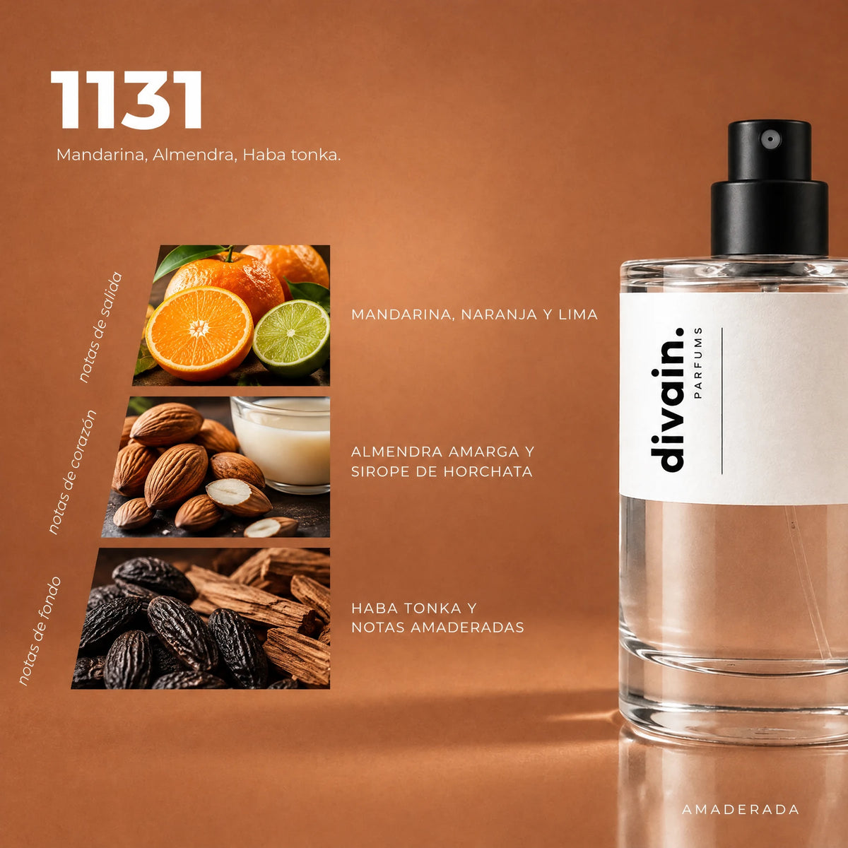 Pirámide olfativa perfume divain.1131 | divain Parfums