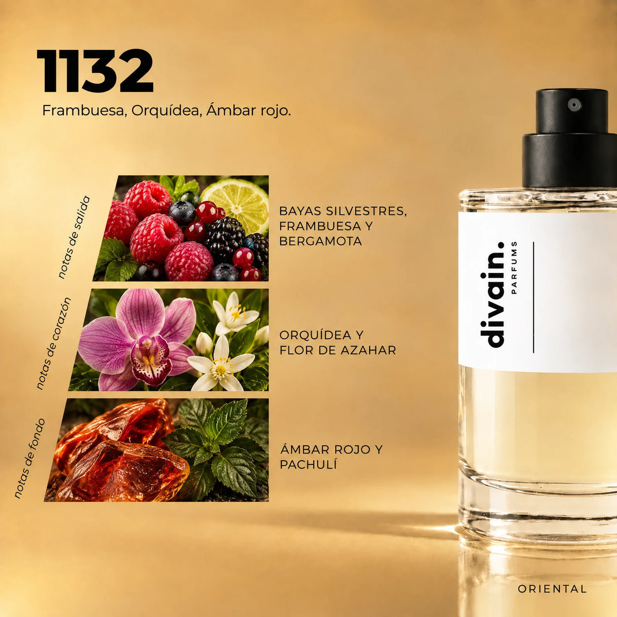 Pirámide olfativa perfume divain.1132 | divain Parfums