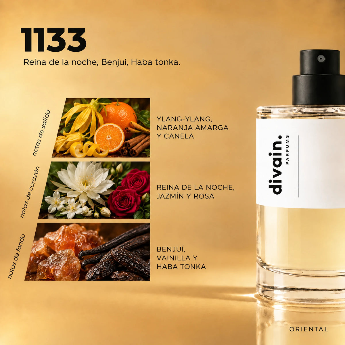 Pirámide olfativa perfume divain.1133 | divain Parfums