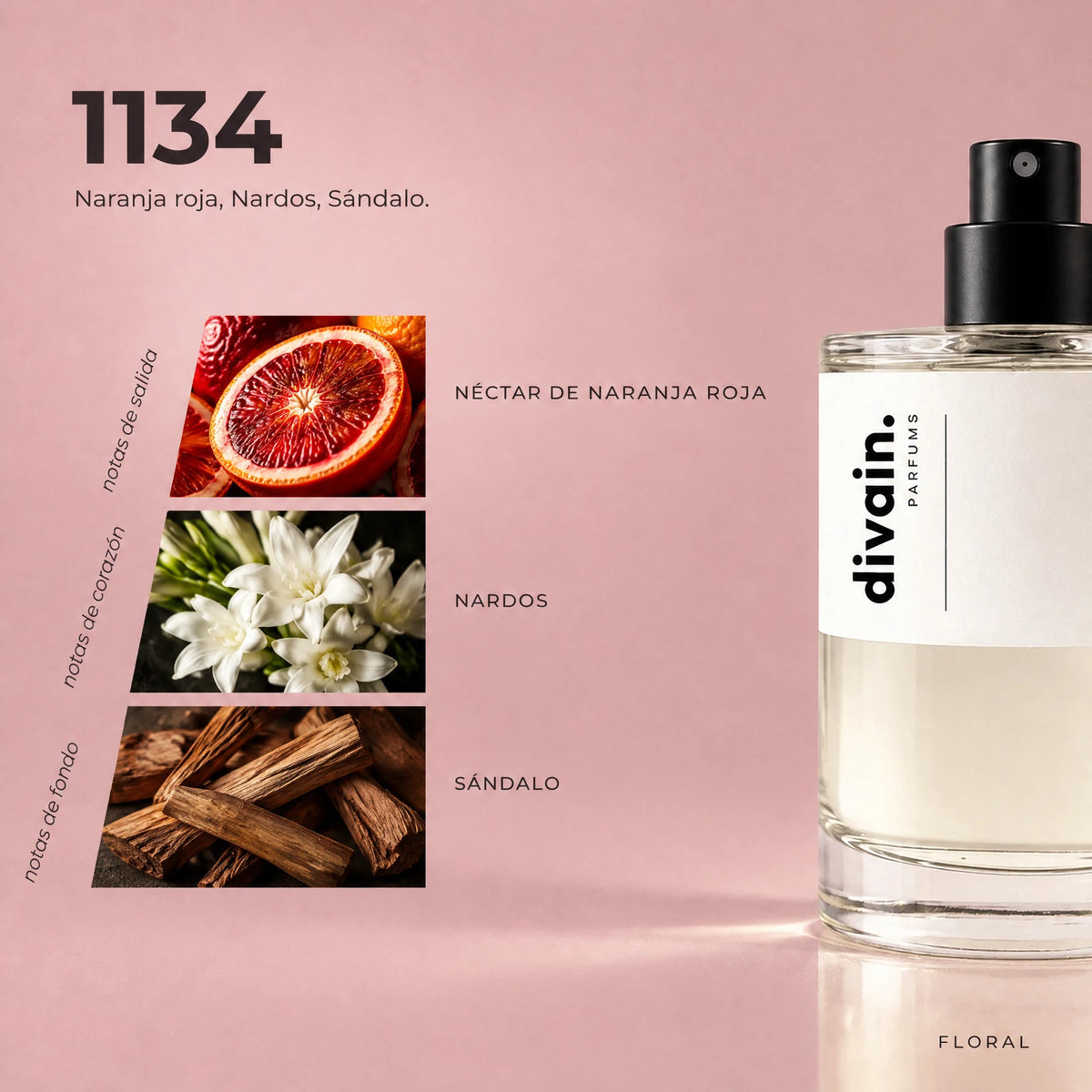 Pirámide olfativa perfume divain.1134 | divain Parfums
