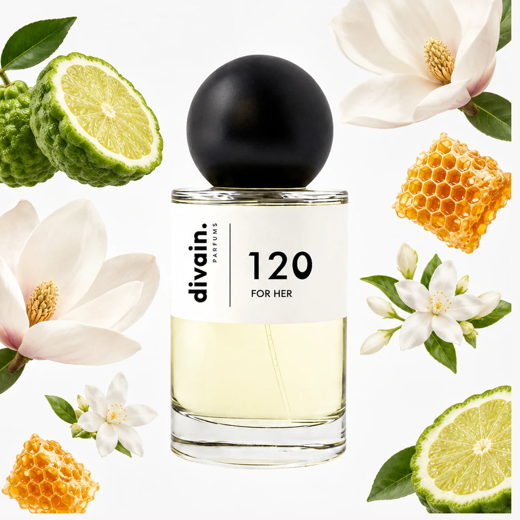 Pirámide olfativa perfume divain.120 | divain Parfums