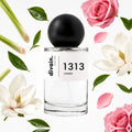 divain-1313 notas