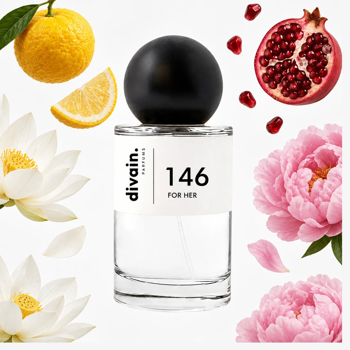 divain.146