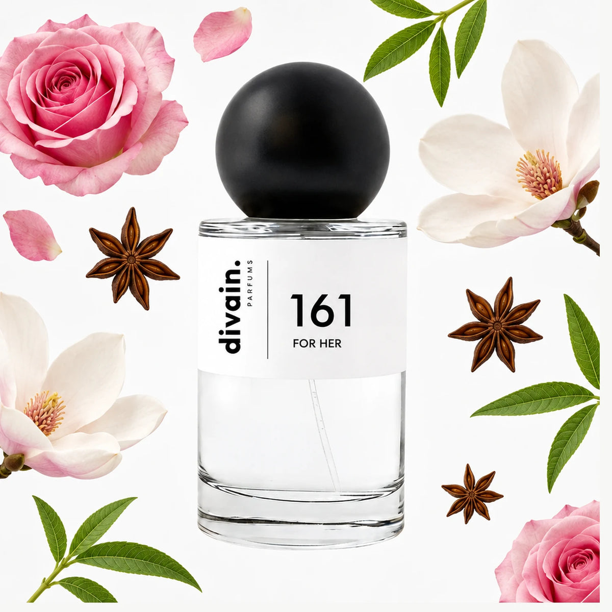 divain.161