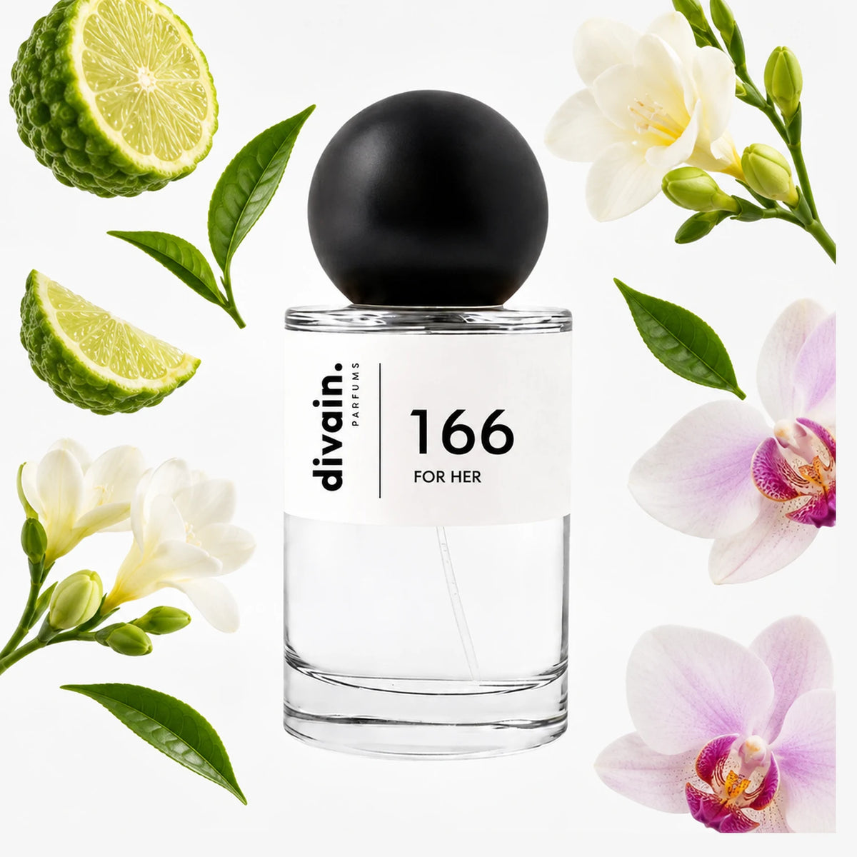 divain.166