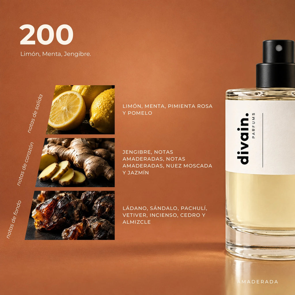 divain-200 piramide olfativa