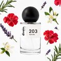 divain-203 notas