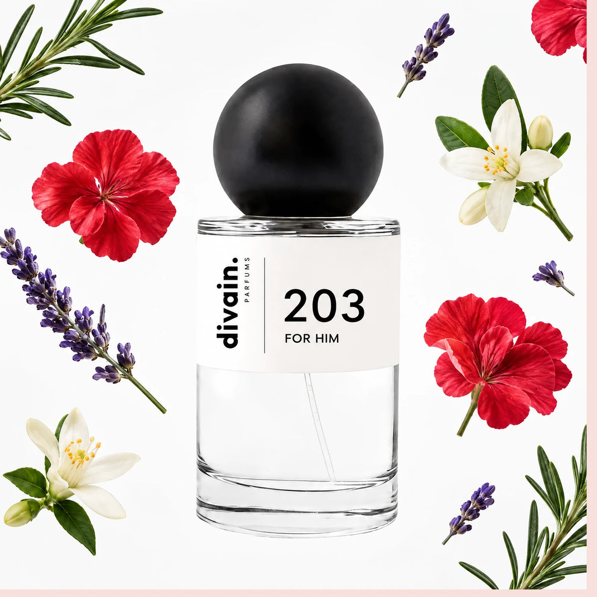 divain.203