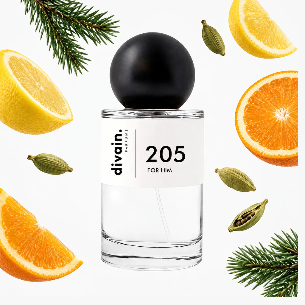 Pirámide olfativa perfume divain.205 | divain Parfums