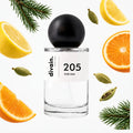 Pirámide olfativa perfume divain.205 | divain Parfums