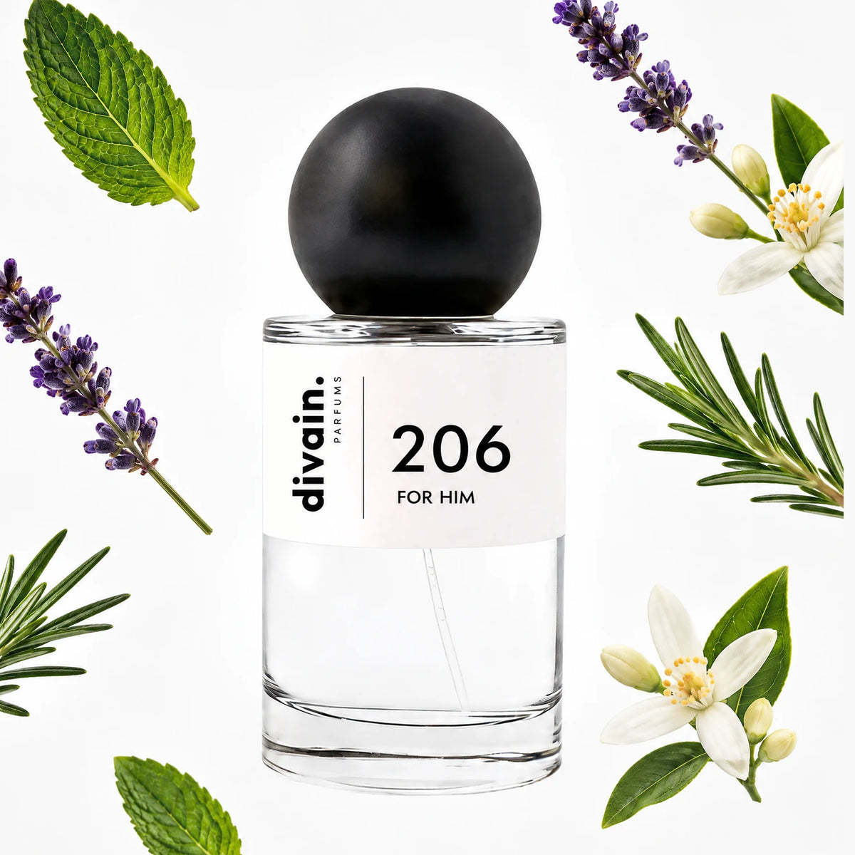 divain.206