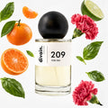 Pirámide olfativa perfume divain.209 | divain Parfums