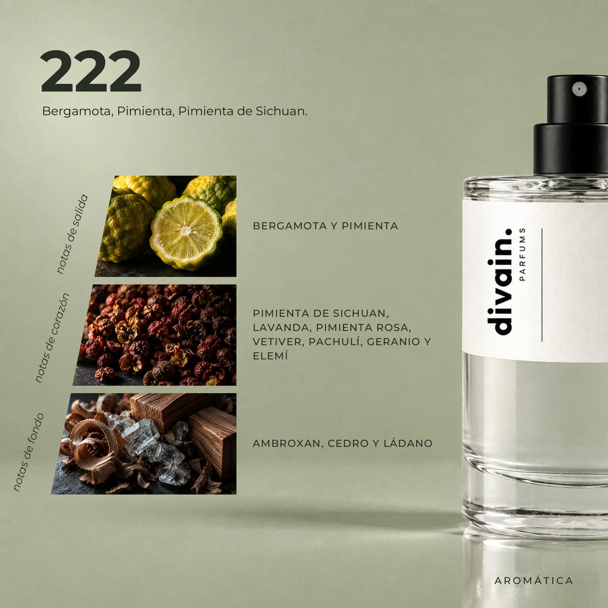 divain.222 pirámide olfativa