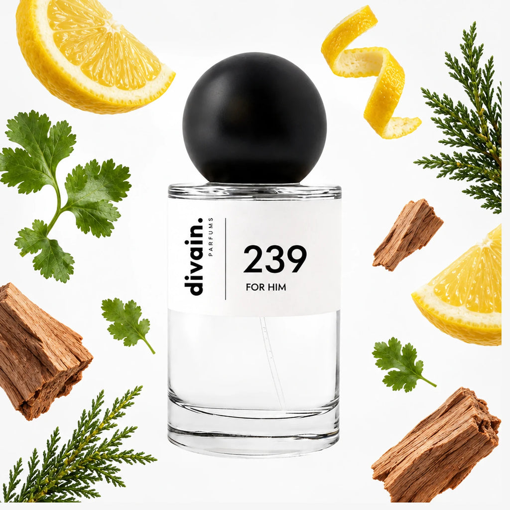 Pirámide olfativa perfume divain.239 | divain Parfums