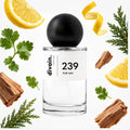 Pirámide olfativa perfume divain.239 | divain Parfums