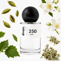 Pirámide olfativa perfume divain.250 | divain Parfums