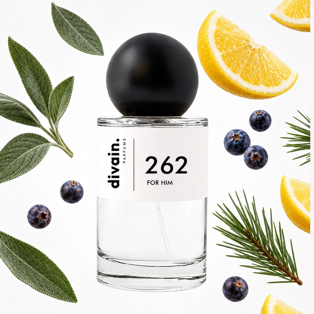 divain.262