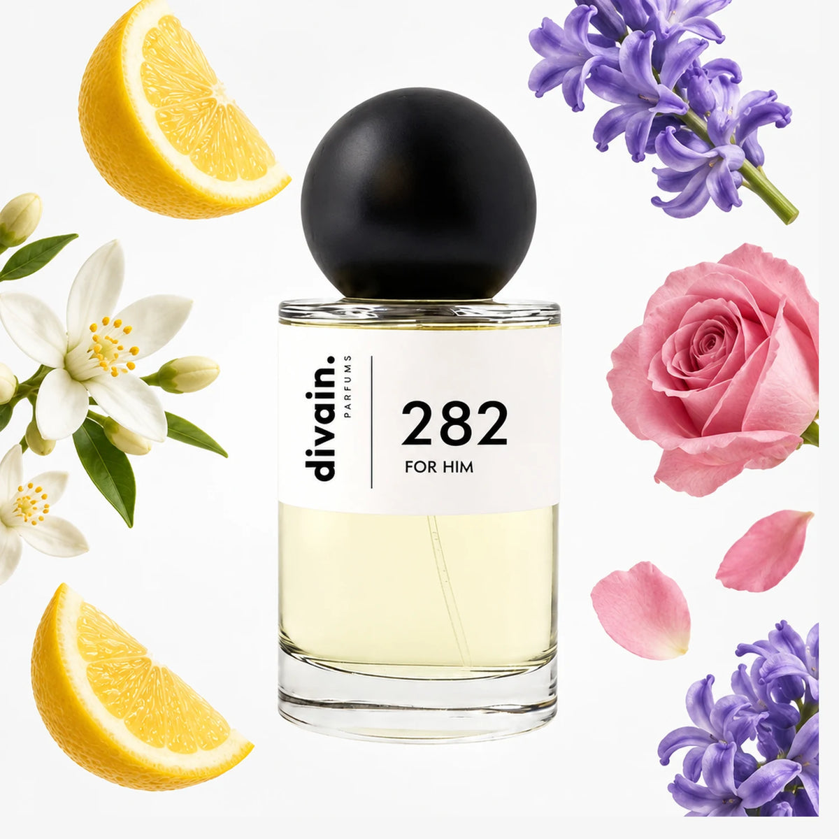 divain.282