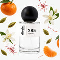 Pirámide olfativa perfume divain.285 | divain Parfums