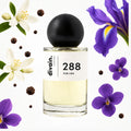 Pirámide olfativa perfume divain.288 | divain Parfums