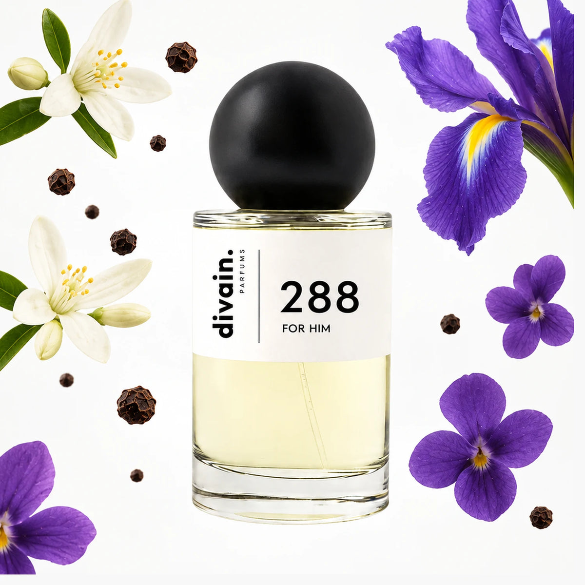divain.288