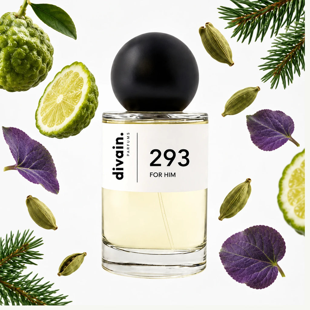 Pirámide olfativa perfume divain.293 | divain Parfums