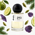 Pirámide olfativa perfume divain.293 | divain Parfums