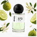 Pirámide olfativa perfume divain.373 | divain Parfums
