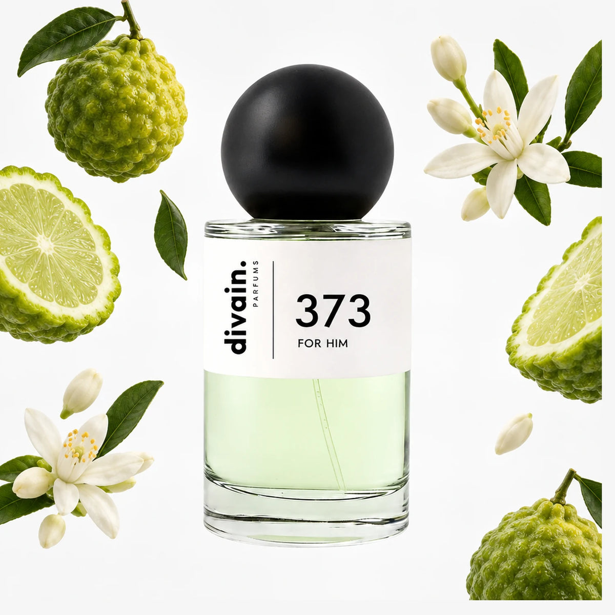divain.373