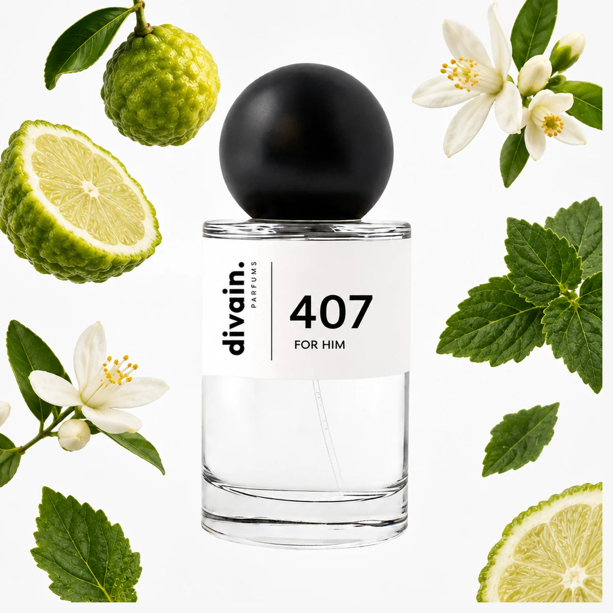divain.407
