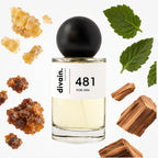 divain-481 notas