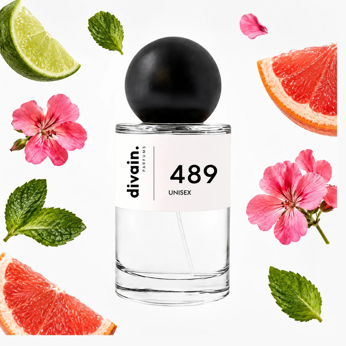 divain.489