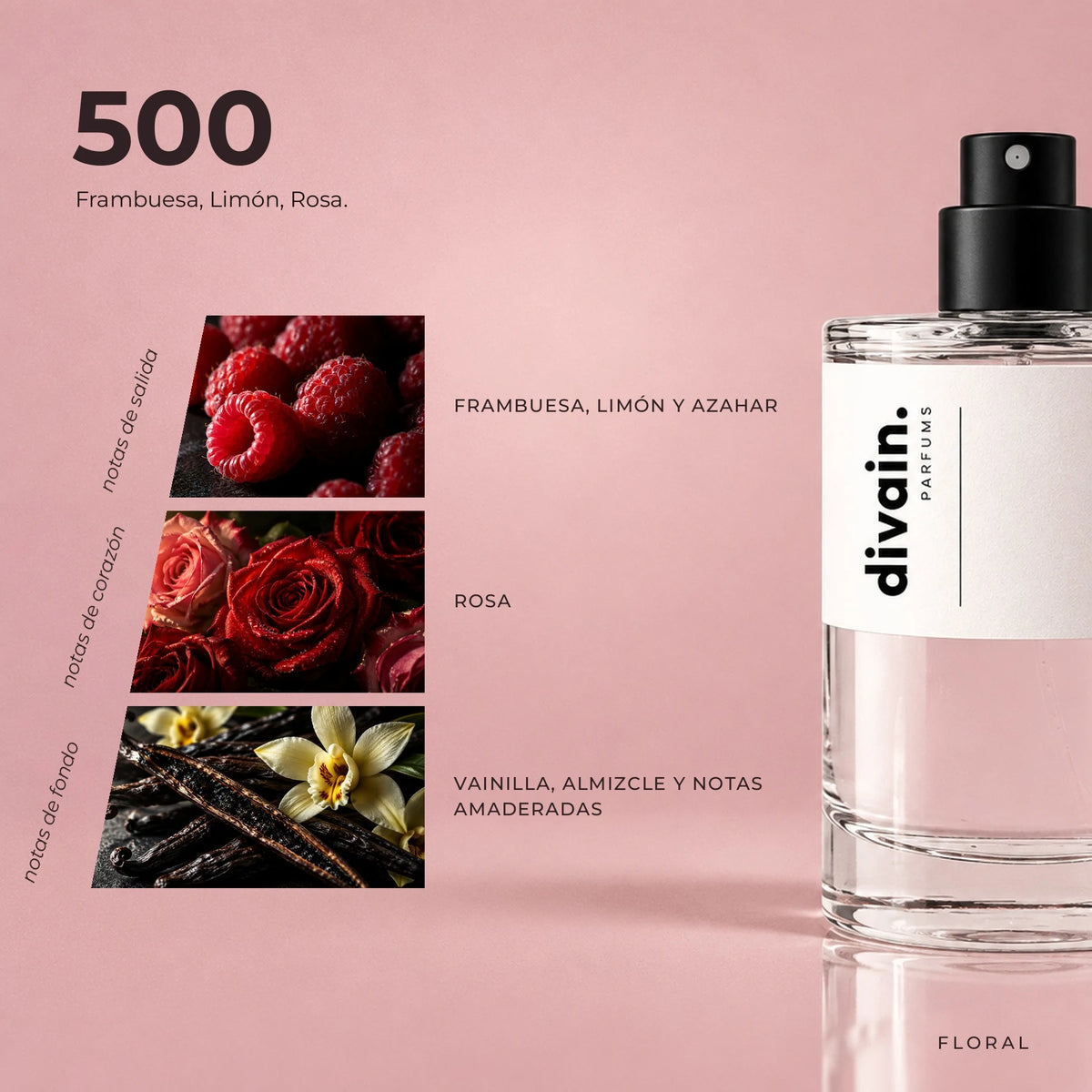 divain-500 piramide olfativa