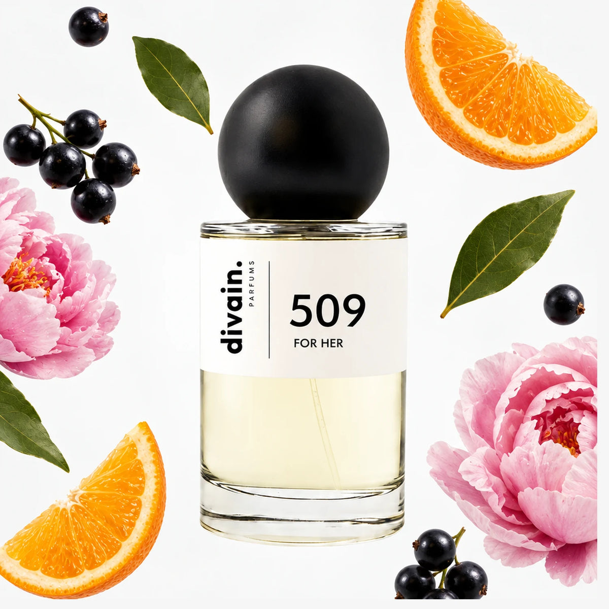 divain.509