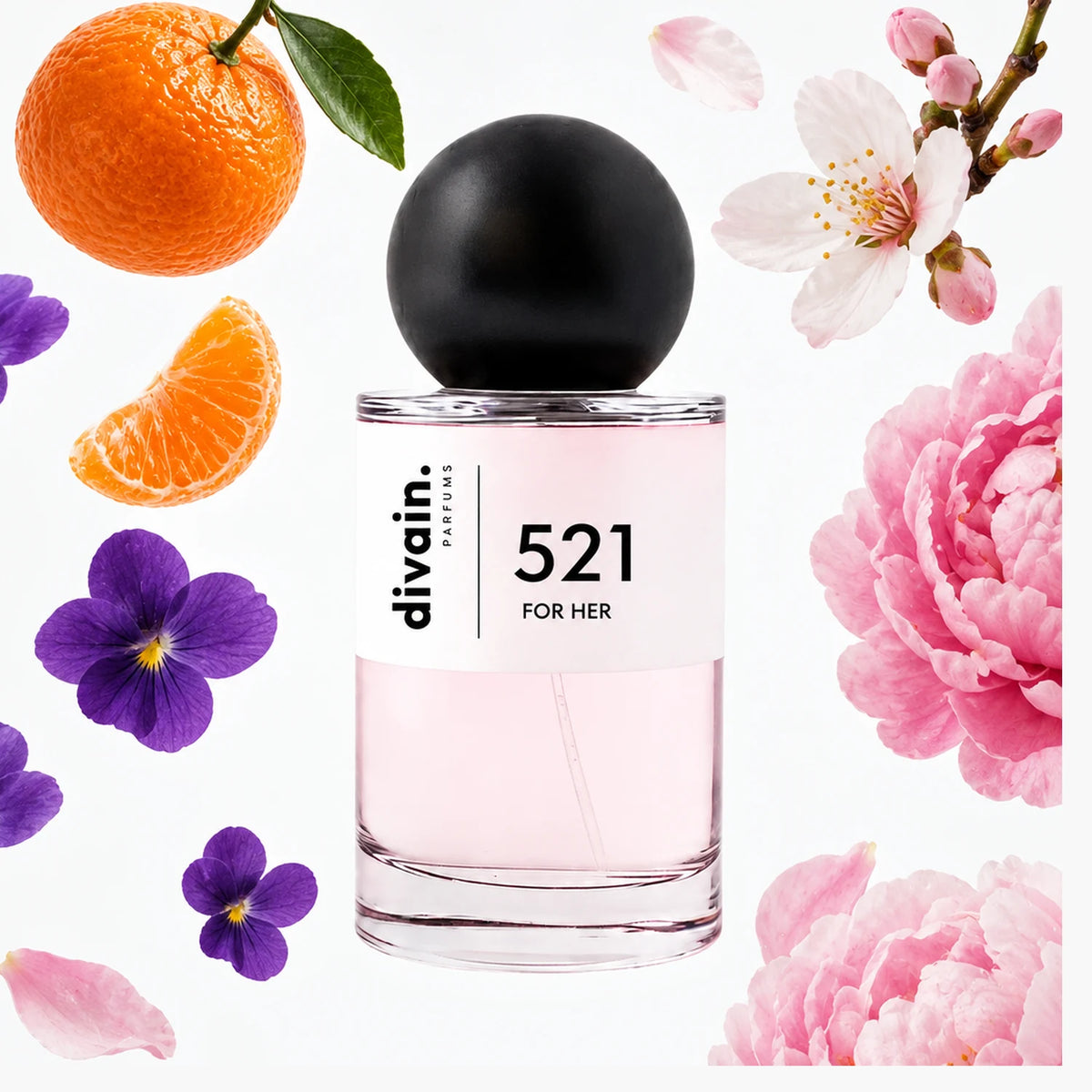 divain.521
