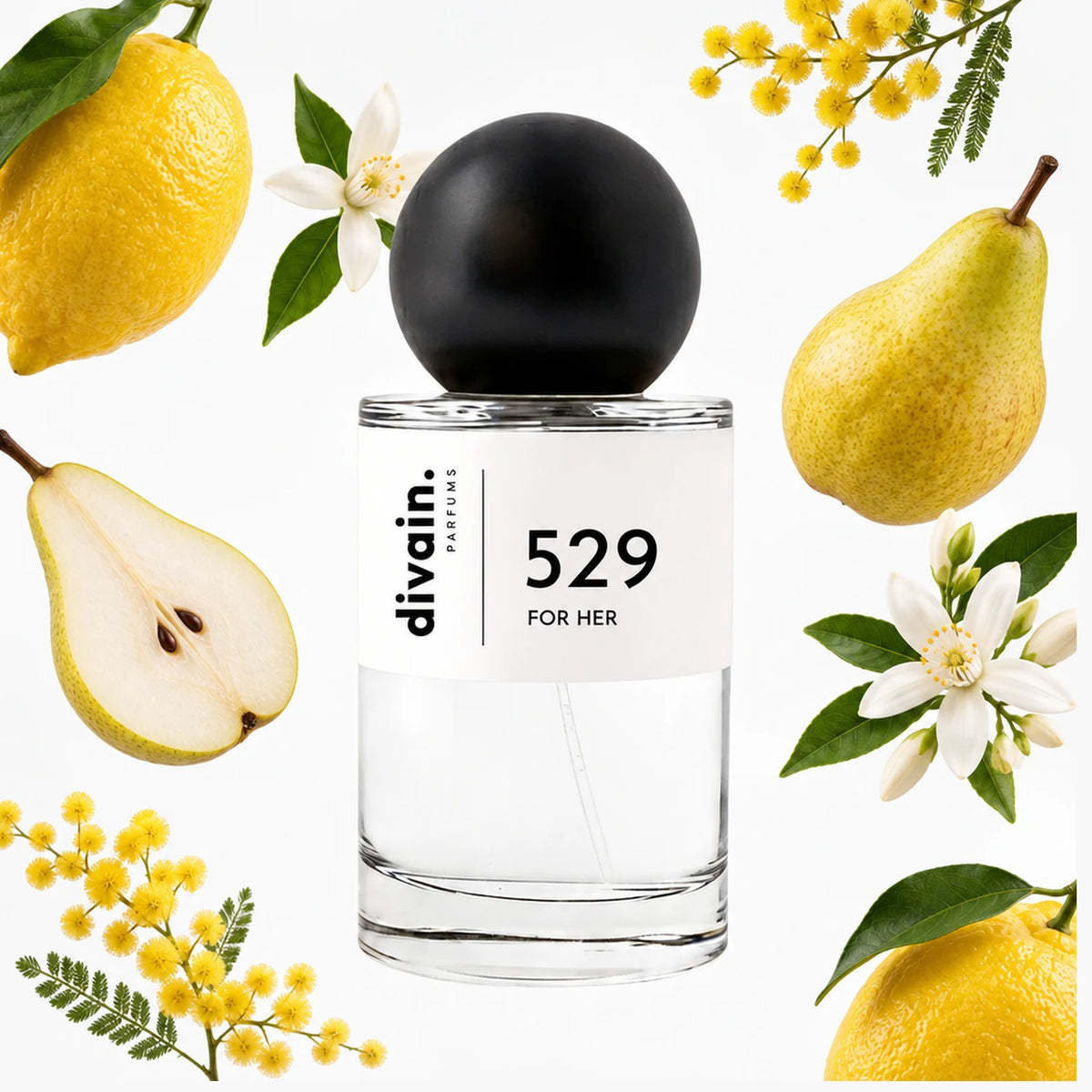 Pirámide olfativa perfume divain.529 | divain Parfums