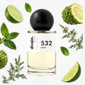 Pirámide olfativa perfume divain.532 | divain Parfums