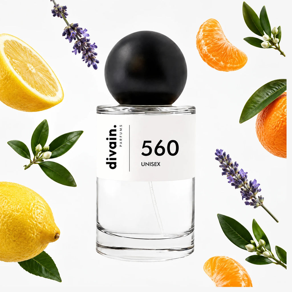 divain.560