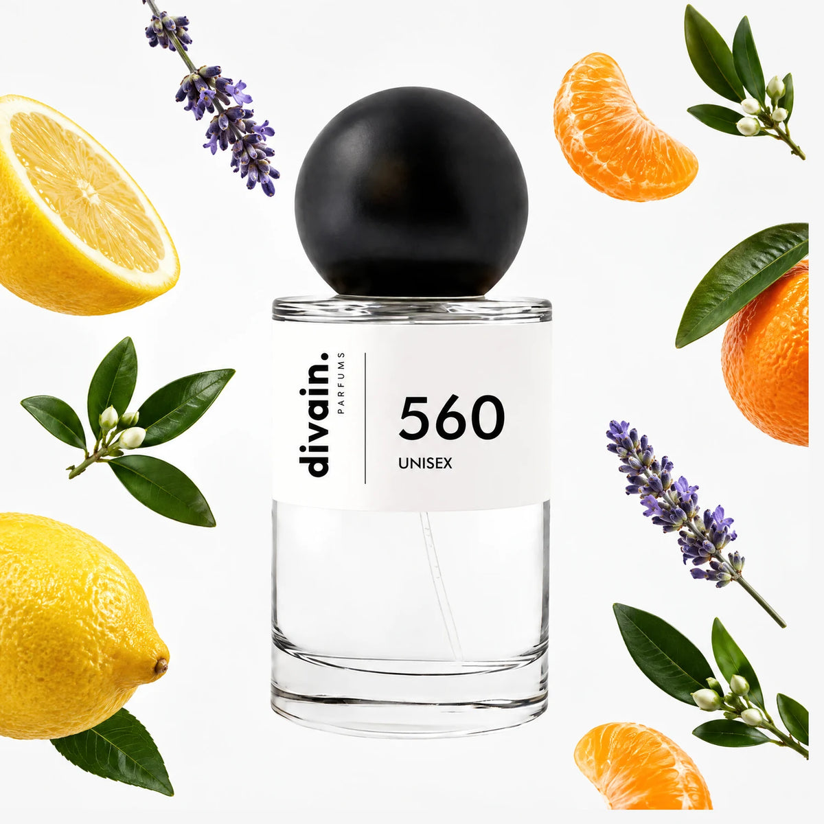 divain.560