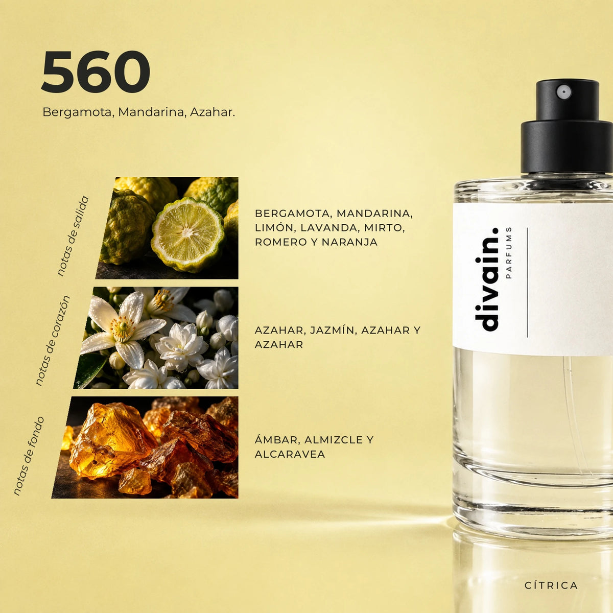 divain-560 piramide olfativa