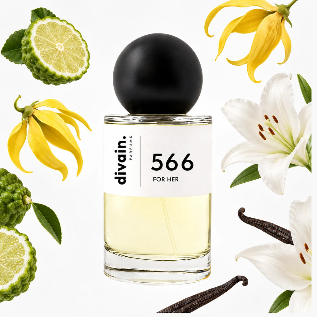 Pirámide olfativa perfume divain.566 | divain Parfums