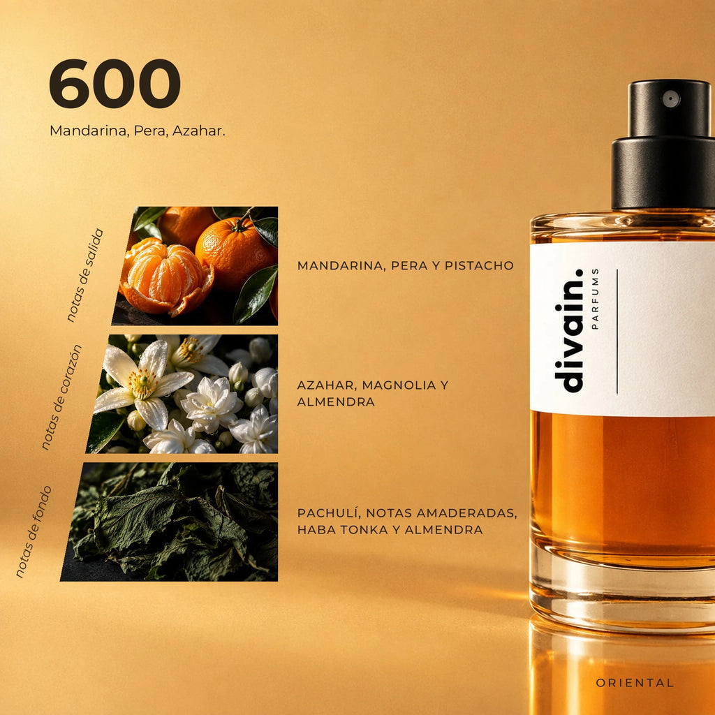 divain-600 piramide olfativa