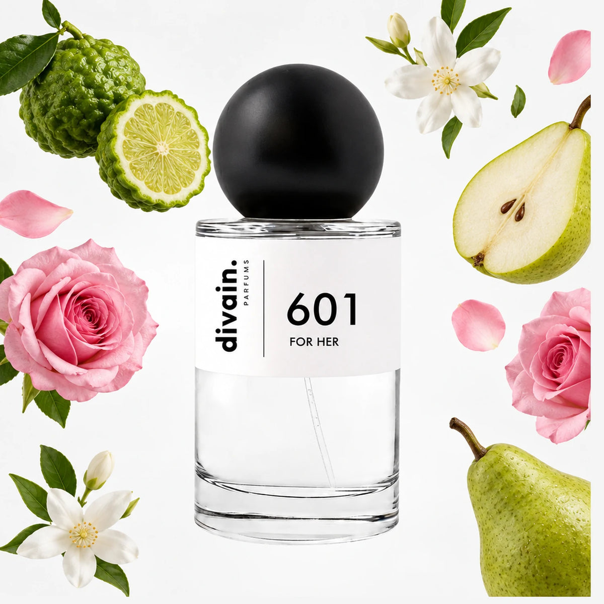 divain.601