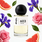 divain-603 notas